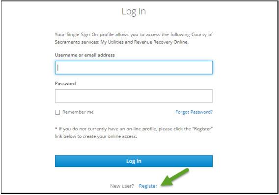 Screen shot from Revenue Recovery Online tool