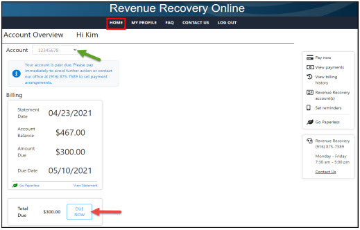 Screen shot from Revenue Recovery Online tool