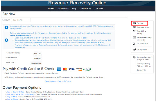 Screen shot from Revenue Recovery Online tool