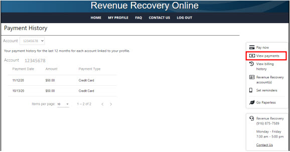 Screen shot from Revenue Recovery Online tool