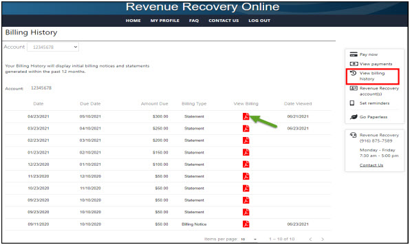 Screen shot from Revenue Recovery Online tool