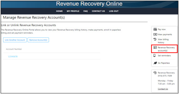 Screen shot from Revenue Recovery Online tool