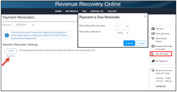 Screen shot from Revenue Recovery Online tool
