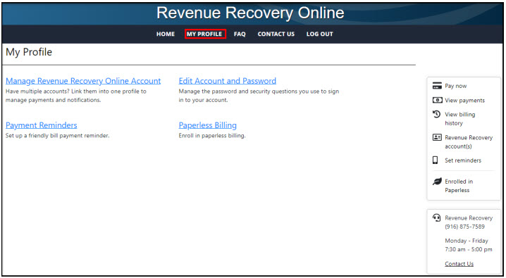 Screen shot from Revenue Recovery Online tool