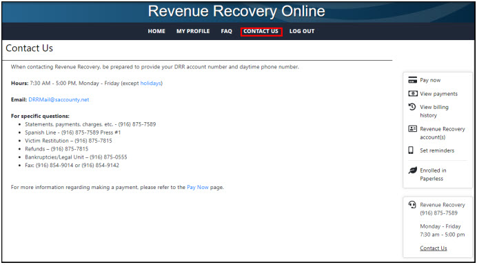 Screen shot from Revenue Recovery Online tool